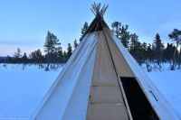 Hundeschlitten-Tour in Kurravaara (Kiruna) auf dem Torneälv - ein samisches Lavvu