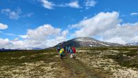 197 Dovrefjell