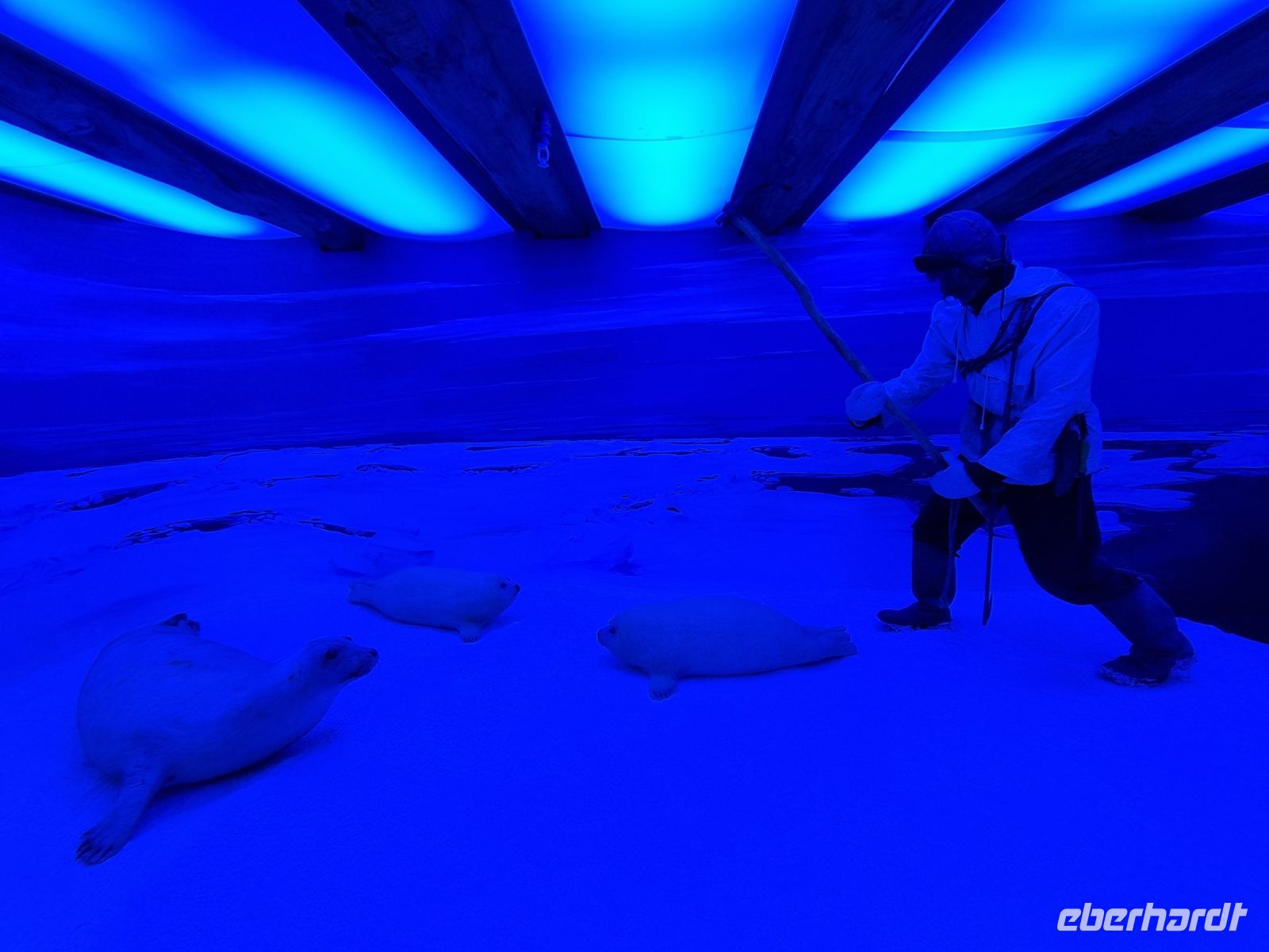 Tromsø - Polarmuseum 