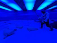 Tromsø - Polarmuseum 