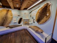 Tromsø - Polarmuseum 