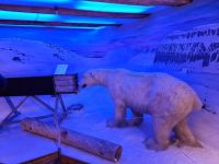 Tromsø - Polarmuseum 