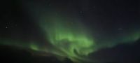 Polarlichter nördlich von Tromsø...