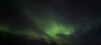 Polarlichter nördlich von Tromsø...