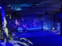 Nordkaphalle - Höhle der Lichter