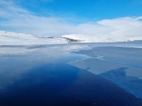 ...unterwegs von Vadsø nach Kirkenes... - Eisschollen auf dem Kirkenesfjord 