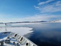 ...unterwegs von Vadsø nach Kirkenes... - Eisschollen auf dem Kirkenesfjord