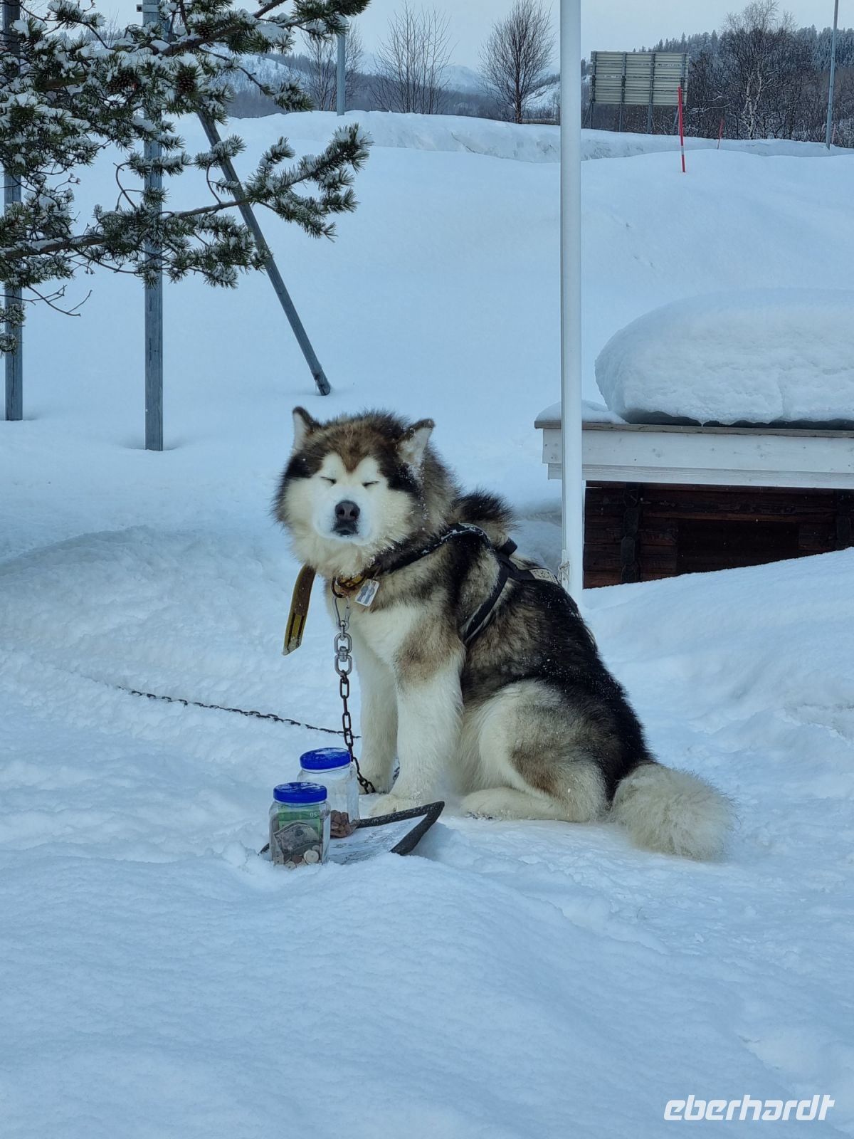 Kirkenes - norwegisch-russische Grenze (