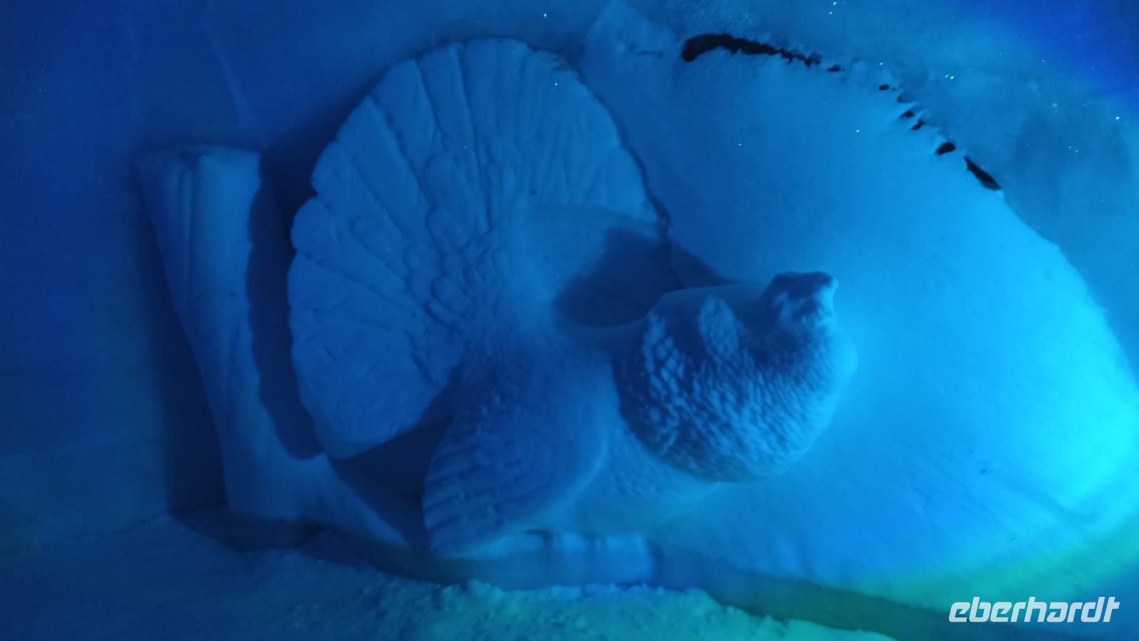 Kirkenes - Schneehotel 