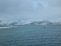 ...unterwegs zwischen Harstad und Stamsund... (Fahrt durch den Risøy-Kanal)