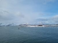 ...unterwegs zwischen Harstad und Stamsund... (Fahrt durch den Risøy-Kanal)