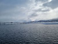 Ankunft in Stokmarknes... (Vesterålen)