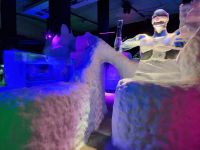 Svolvær (Lofoten) - Magic Ice Bar