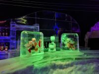 Svolvær (Lofoten) - Magic Ice Bar