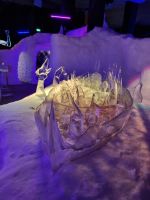 Svolvær (Lofoten) - Magic Ice Bar