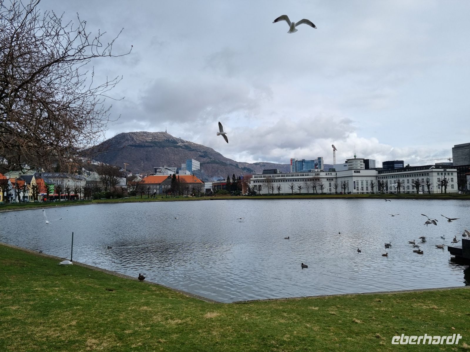Bergen - Lille Lungegaardsvannet (Kleiner Stadtsee)