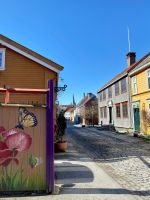 Tag 3 - Bakklandet.jpg