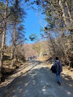 Tag 4 - Wanderung auf den Rønvikfjellet.jpg