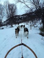 Tag 7 - Hundeschlittentour.jpg