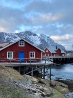 Tag 9 - Henningsvær.jpg