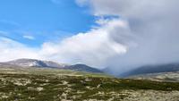 198 Dovrefjell