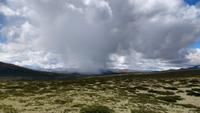 199 Dovrefjell