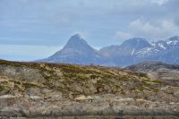 Hurtigruten - MS Polarlys - Nordland - In der Bildmitte wartet ein Seeadler