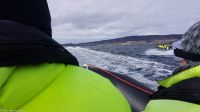 Hurtigruten - MS Polarlys - Nordland - Fakultative RIB Safari in den Saltstraumen - den stärksten Gezeitenstrom der Welt