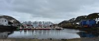 Hurtigruten - MS Polarlys - Insel Margerøya (Nordkap-Insel) - Fischerdorf Kamøyvær