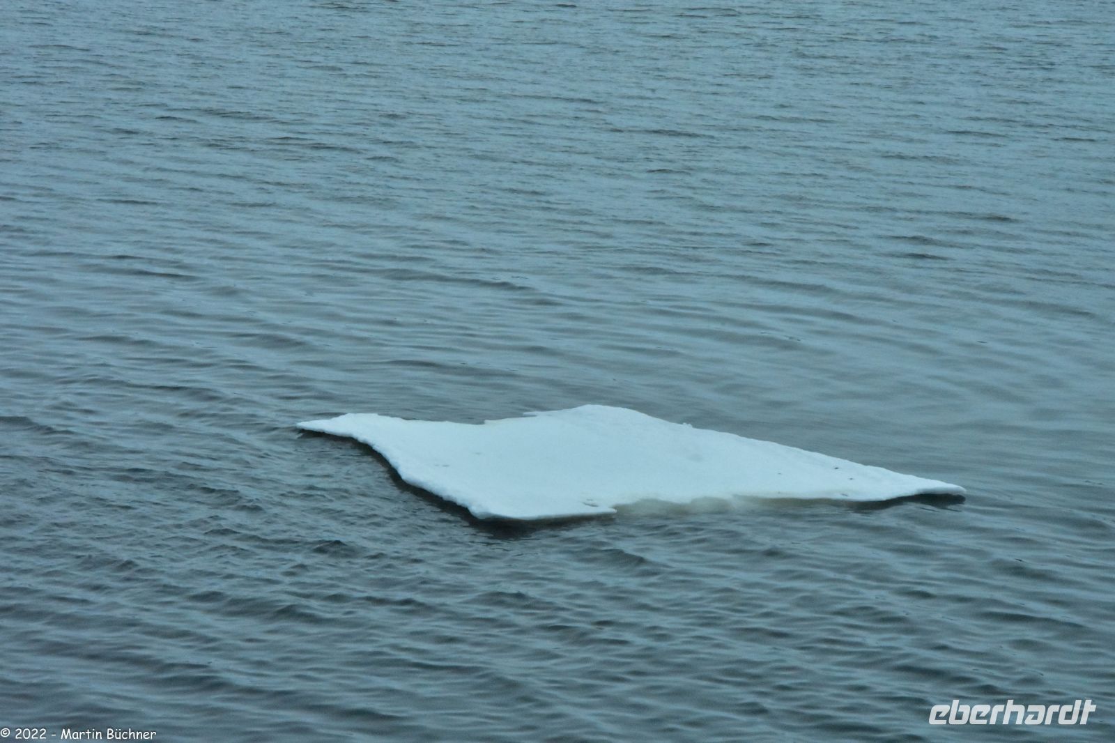 Hurtigruten - MS Polarlys - Kirkenes - Geographischer Wendepunkt der Reise