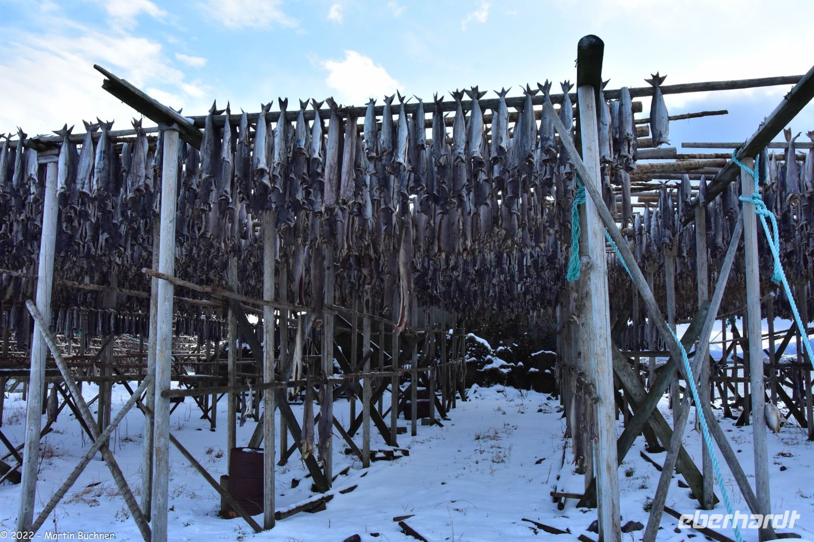 Hurtigruten - MS Polarlys - Lofoten - Spaziergang durch Henningsvær - Tørrfisk - Trockengestelle für den Stockfisch