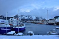 Hurtigruten - MS Polarlys - Lofoten - Spaziergang durch Henningsvær