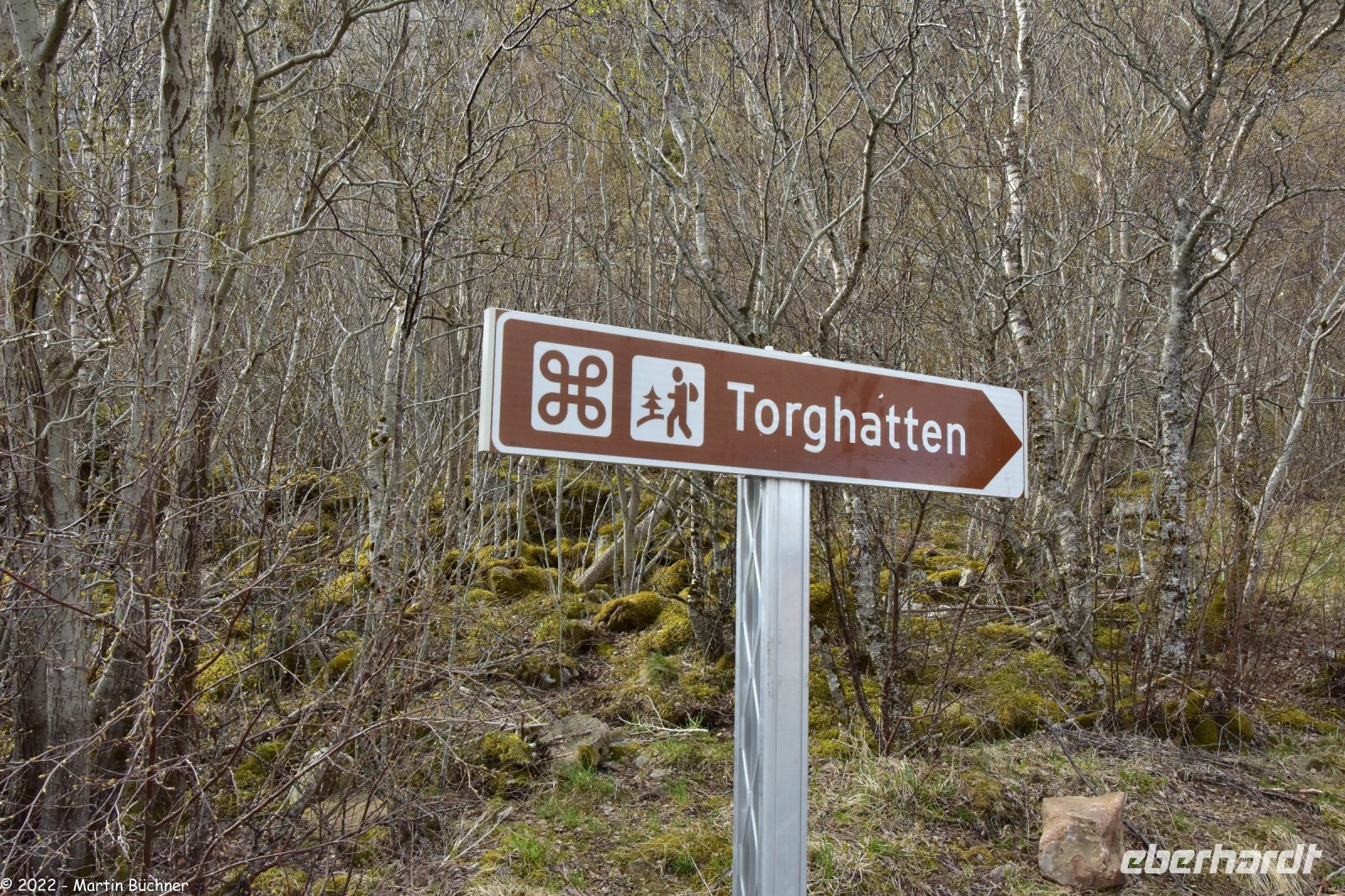 Hurtigruten - MS Polarlys - Nordland - Helgelandskyste - Fakultative Wanderung zum Torghatten (Berg mit riesigem Loch)