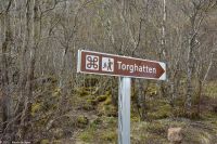Hurtigruten - MS Polarlys - Nordland - Helgelandskyste - Fakultative Wanderung zum Torghatten (Berg mit riesigem Loch)