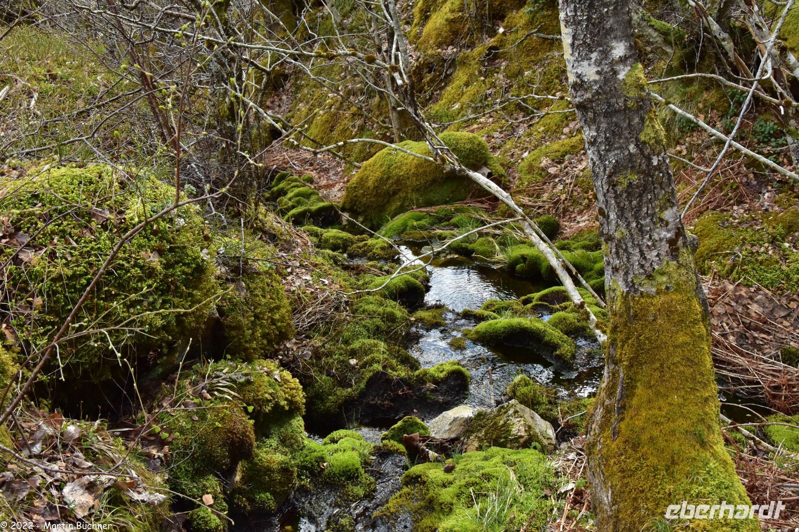 Hurtigruten - MS Polarlys - Nordland - Helgelandskyste - Fakultative Wanderung zum Torghatten (Berg mit riesigem Loch)