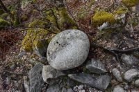 Hurtigruten - MS Polarlys - Nordland - Helgelandskyste - Fakultative Wanderung zum Torghatten (Ein Troll??)