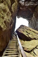Hurtigruten - MS Polarlys - Wanderung zum Torghatten