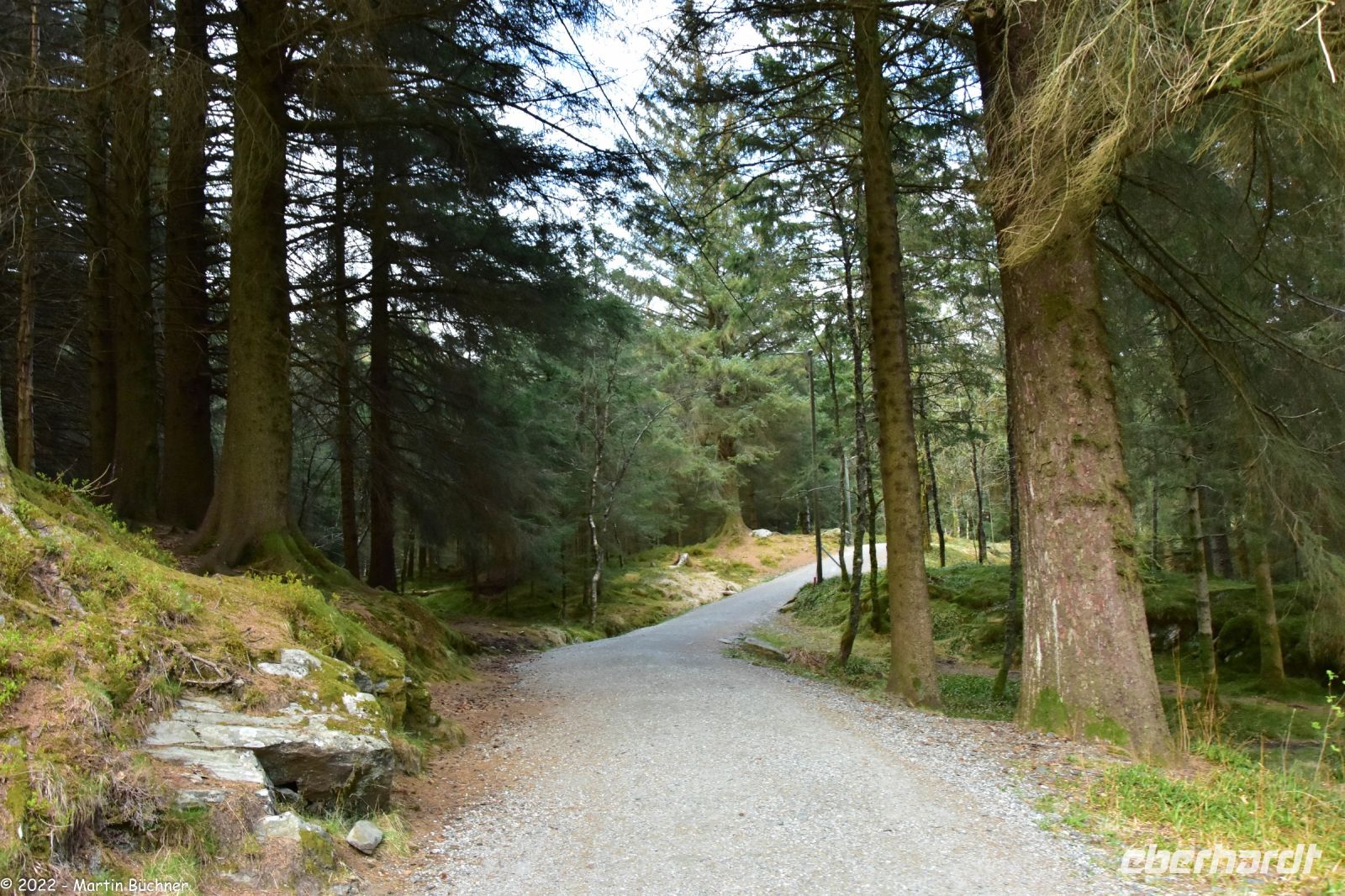 Hurtigruten - MS Polarlys - Bergen - Wandern am Hausberg Fløien