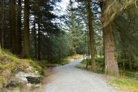 Hurtigruten - MS Polarlys - Bergen - Wandern am Hausberg Fløien