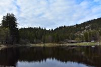Hurtigruten - MS Polarlys - Bergen - Wandern am Hausberg Fløien