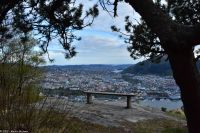 Hurtigruten - MS Polarlys - Bergen - Wandern am Hausberg Fløien