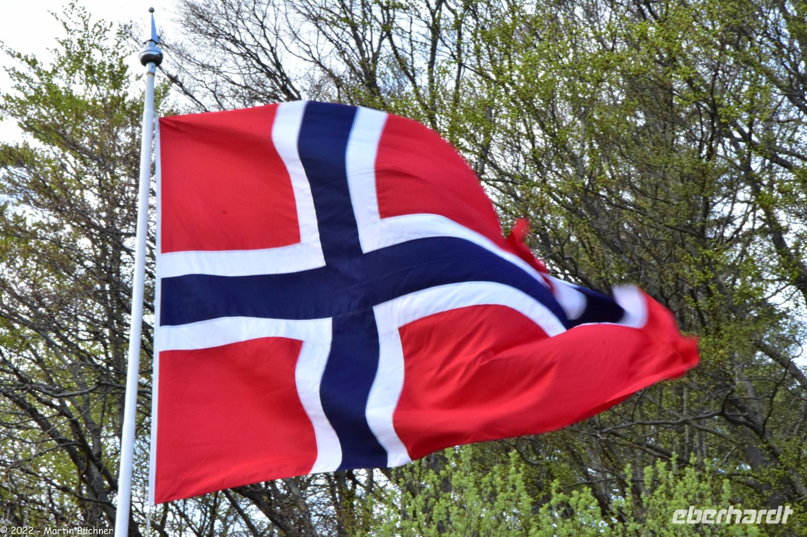 Hurtigruten - MS Polarlys - Bergen - Wandern am Hausberg Fløien