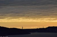 Hurtigruten - MS Polarlys - Bergen - Wandern am Hausberg Fløien