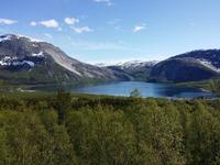 20.06.15: Unendlich schönes Norwegen ... auf einem Fotostopp