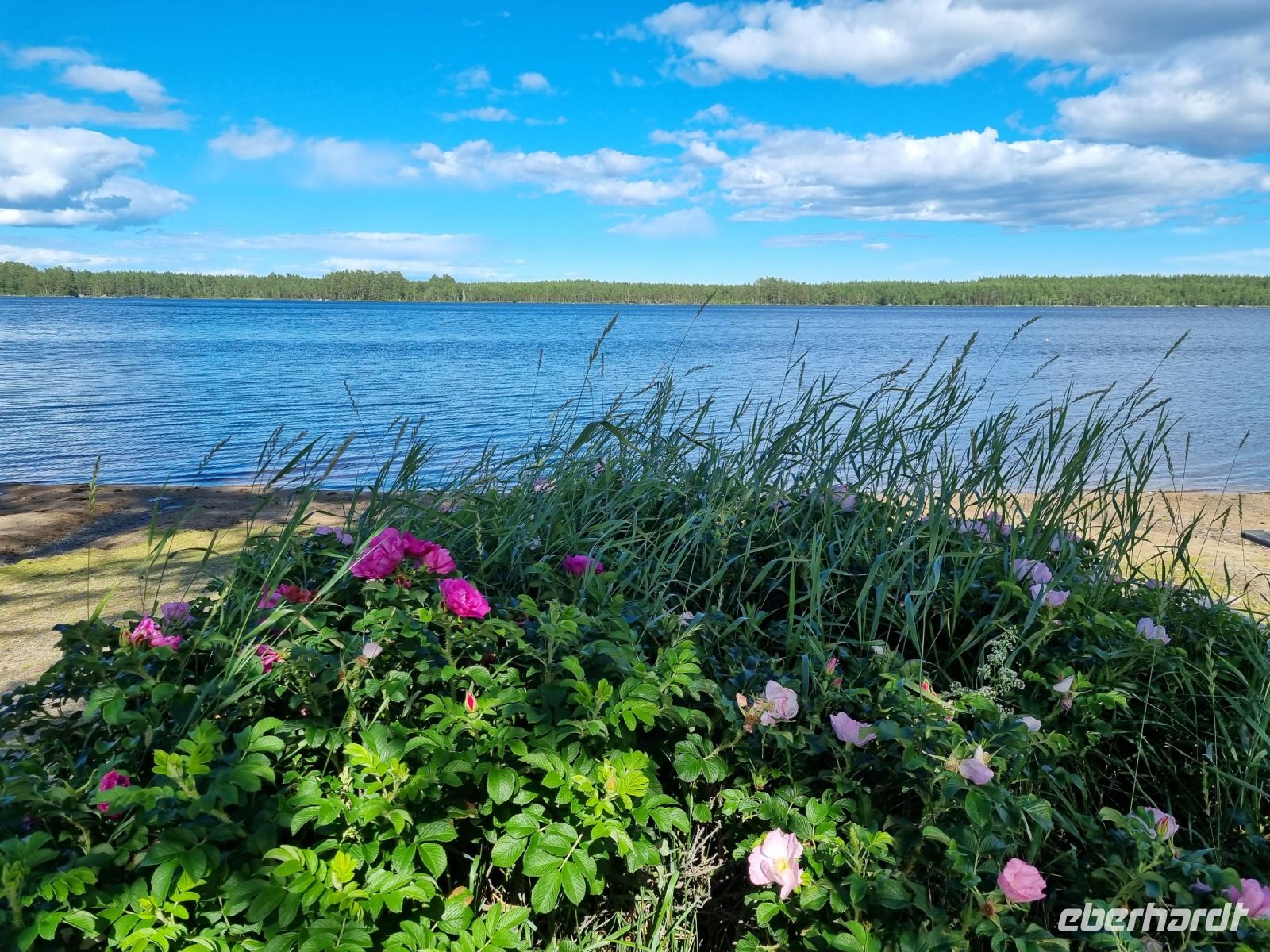 Fahrt von Stockholm nach Sundsvall - See Varvs-Noran