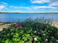 Fahrt von Stockholm nach Sundsvall - See Varvs-Noran