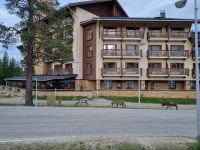 Saariselkä - Rentiere...