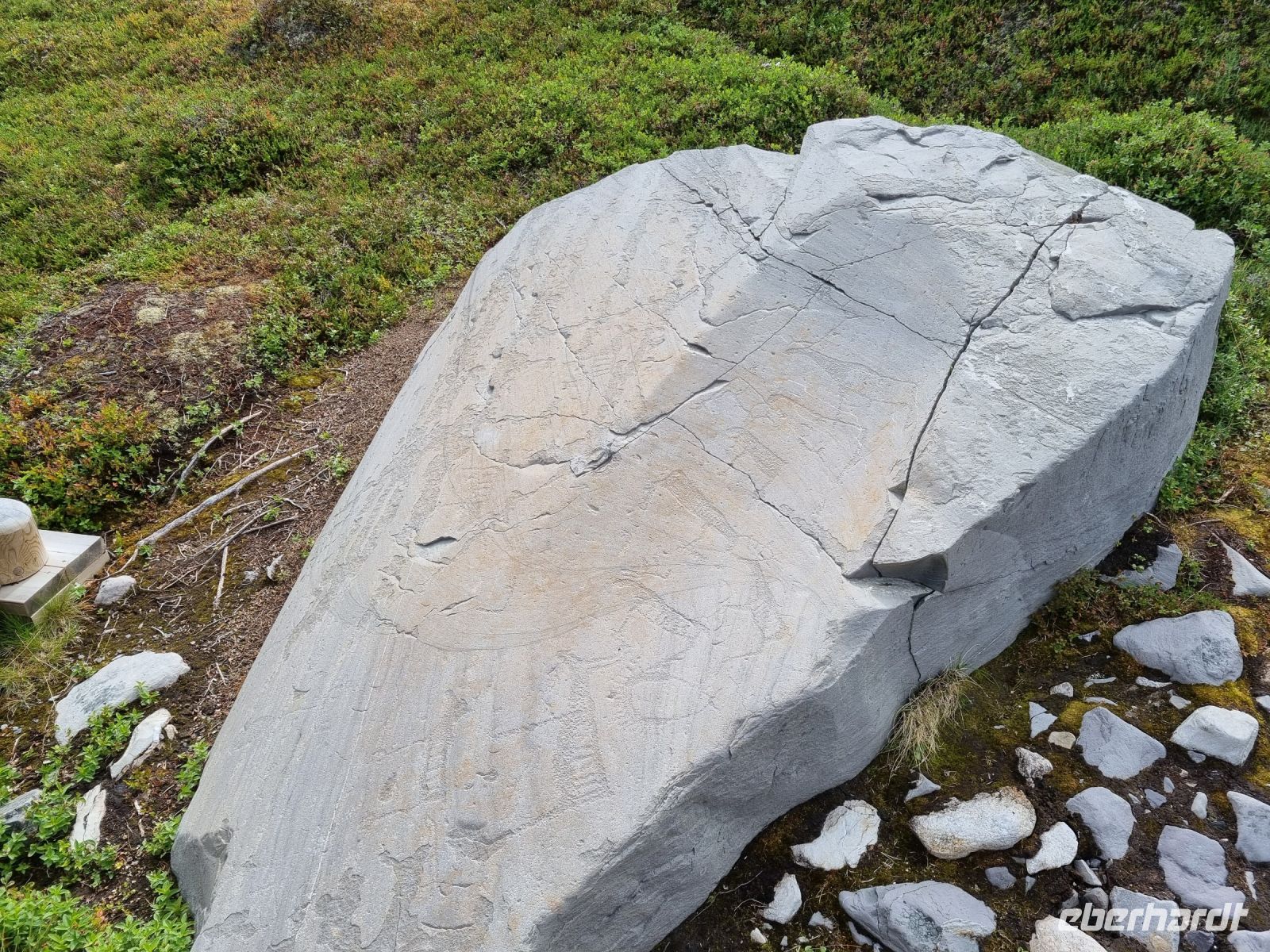 Alta Museum - Felszeichnungen