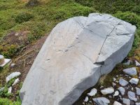 Alta Museum - Felszeichnungen