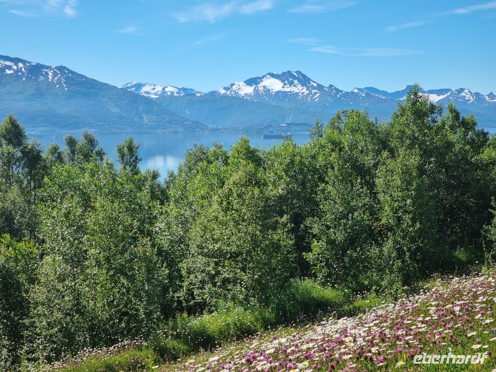 Blick über den Ofoltfjord nach Narvik